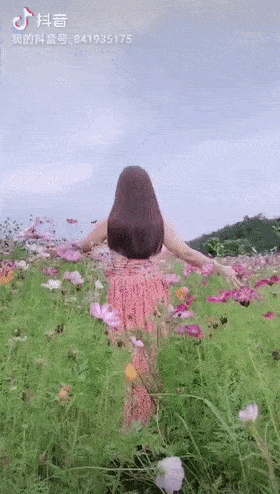 随州这里100亩玫瑰花,粉黛草绽放了!9.9抢票!