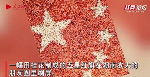 桂花|高校老师用桂花摆巨幅国旗祝福祖国