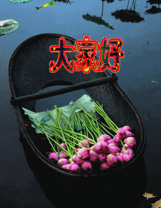 640_825竖版 竖屏gif 动态图 动图