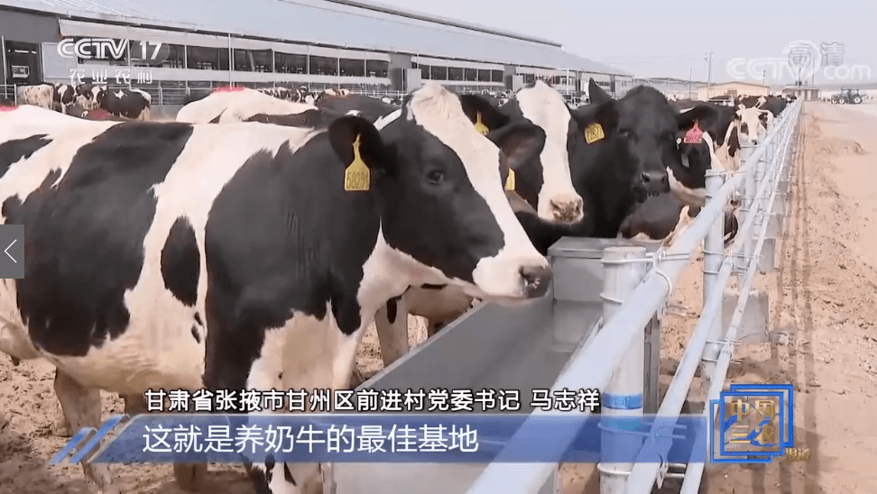 人均饲养奶牛_奶牛图片卡通(2)