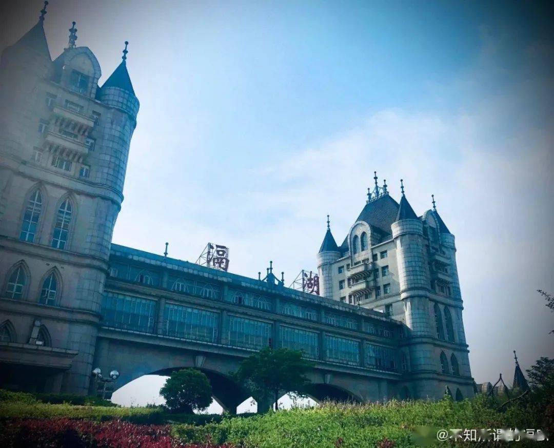 2020江门恩平区人均g_恩平有人养史宾格犬(2)