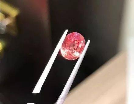 涨势|下一个矢车菊蓝宝石?价格不高却涨势凶猛,它是真正的投资潜力股!