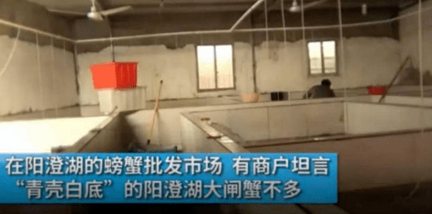 螃蟹|99%是冒牌货：吃到一只正宗阳澄湖大闸蟹，到底有多难？