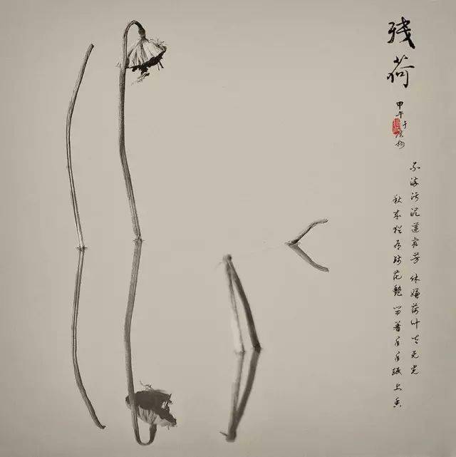 摄影高手拍秋残荷——6大秘籍_画面