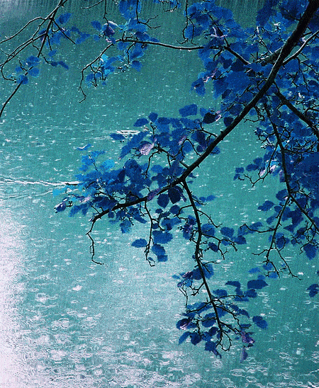 秋雨如约|作者恒文|朗诵武全