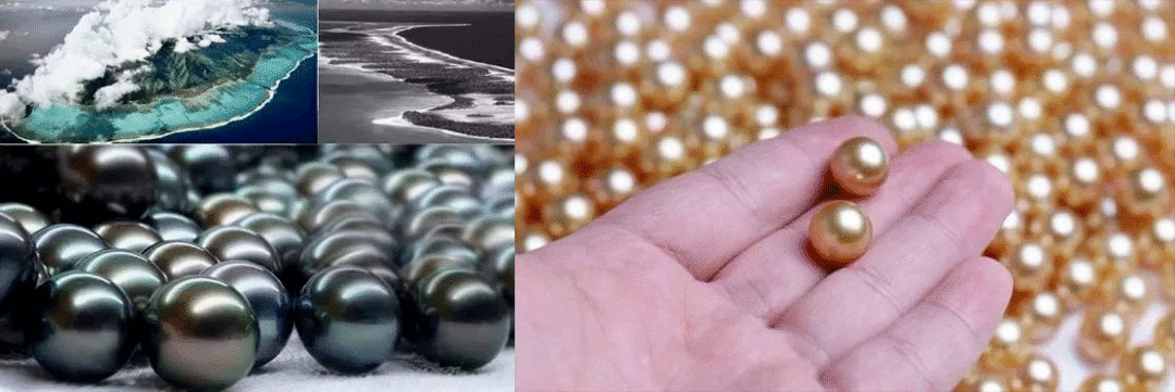 老祖宗|杨杨：这种珍珠长成了佛陀的样子？老祖宗的智慧，如今盛行海外！