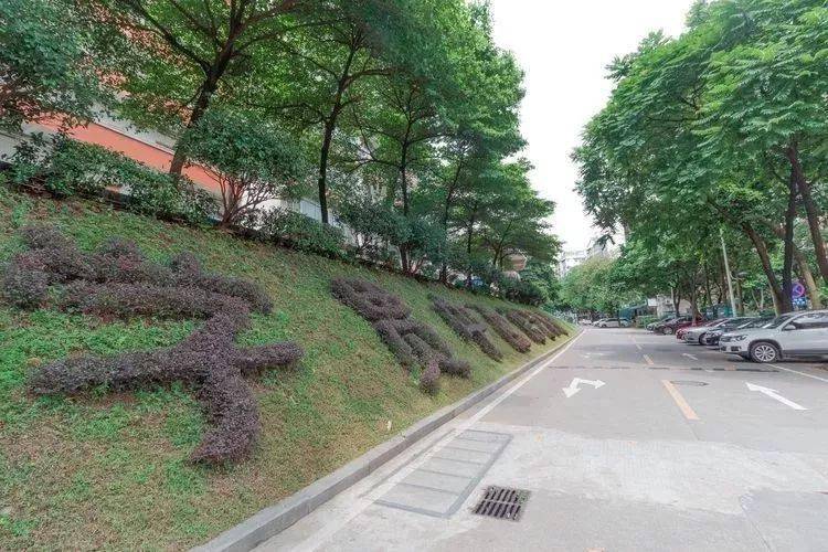 校区|看哭!广东“最没存在感”公办大学!这几所也在榜?