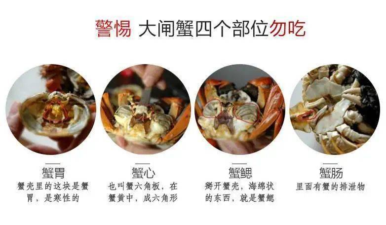 螃蟹虽美,四个部位不能吃!如何挑选食用看这里