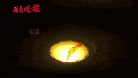 这个廉江随处可见的东西居然高达196℃!不少孩子受伤