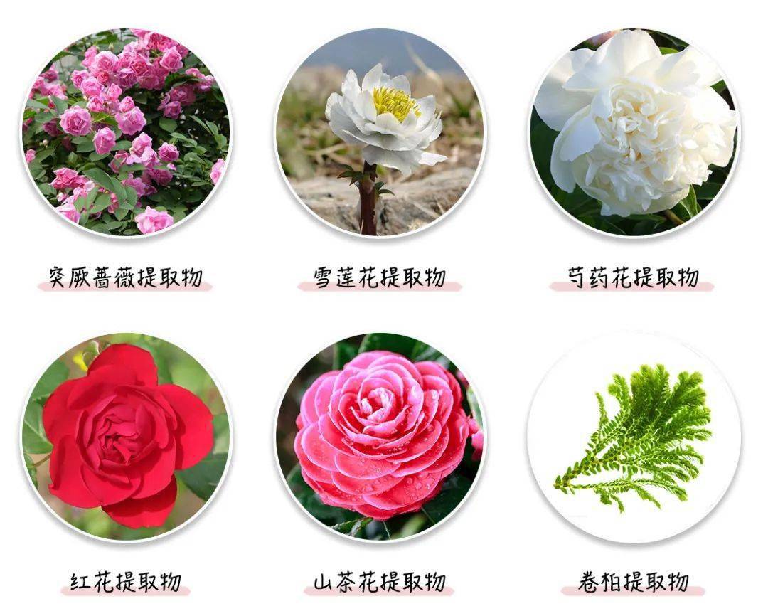 头发|头皮发痒，出油，还掉发？原来是你的洗发水没选好...