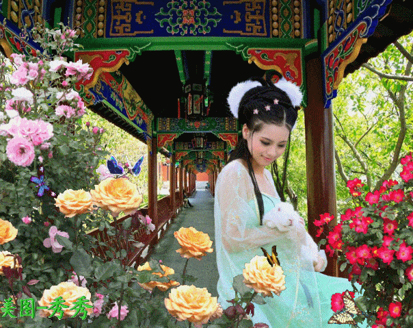 604_479gif 动态图 动图