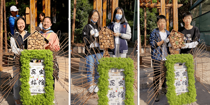 图|昆虫旅馆成果展示