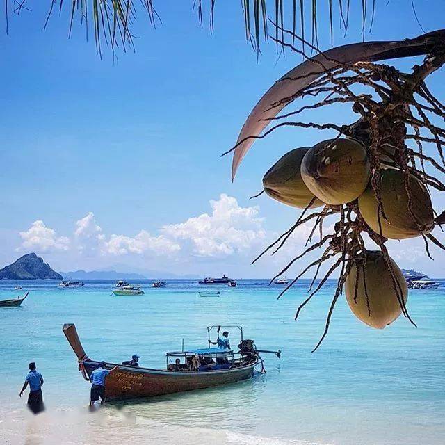 thai island,thai 【4】 拍摄地点:甲米皮皮岛 phi phi island krabi, thailand