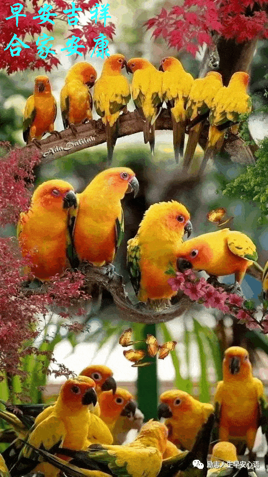 530_942 竖版 竖屏