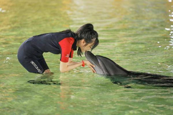 错误|女星带妆亲吻海豚被批，最无辜的是海豚