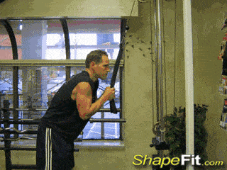 最基本的健身房训练计划表,附完整动图教学!