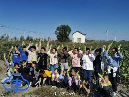 收货|钓螃蟹、挖红薯、掰玉米……收货的季节这么过！