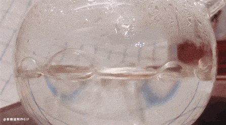 味道|你泡的茶 水的味道重吗?