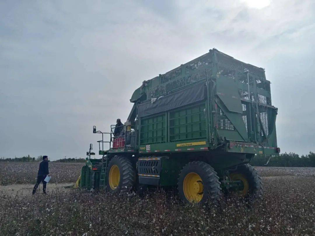 八师GDP_阴阳师八岐大蛇图片