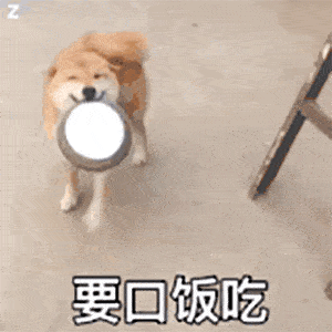 4e676b4a86cd4cf49ef1cbd88f3b01fc.gif