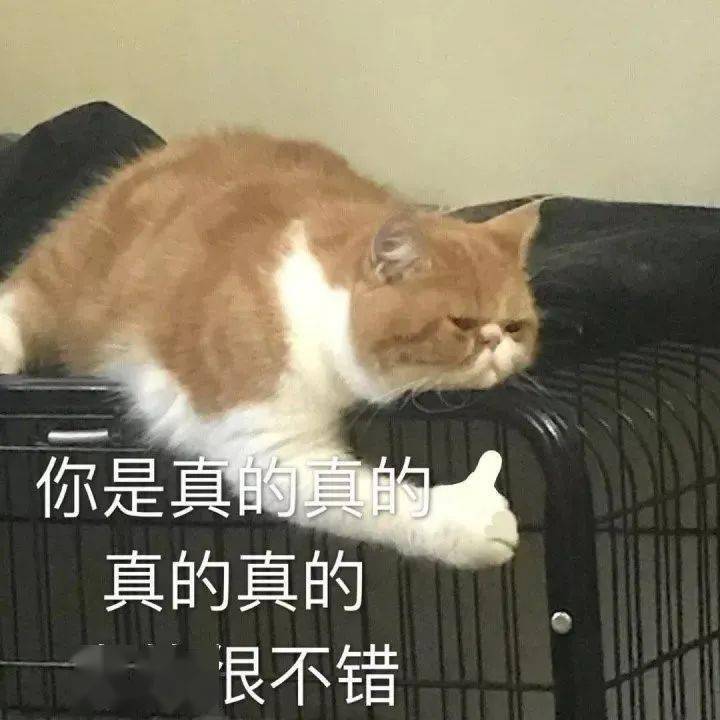 79cbba96995744e2a5f0805d23c5532a.jpeg