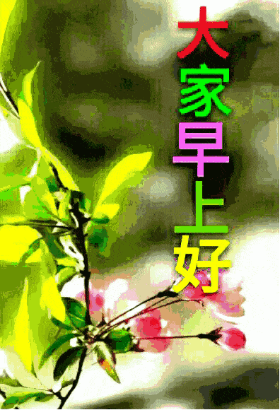 秋日清晨早上好最美动态表情图片 秋季早安问候动态表情鲜花图片