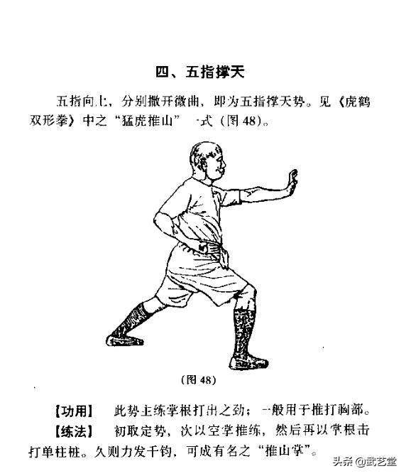 b195936c100140f281f014f40f854807.jpeg