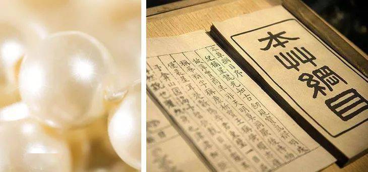 片仔癀的主要成分 d0ed4c81deb54f1c80089545a37448c6.jpeg