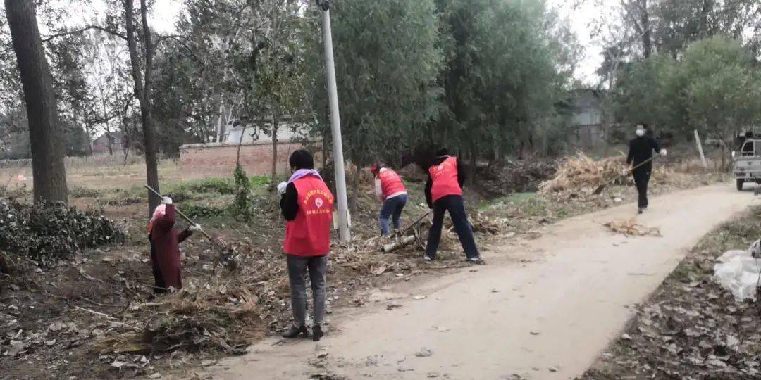 金乡卜集人口_金乡卜集镇张辛庄图片(3)