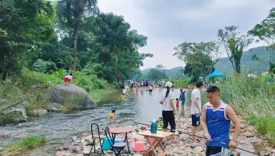 长假阳江游:遛娃胜地,欢乐雨林河!_大八镇