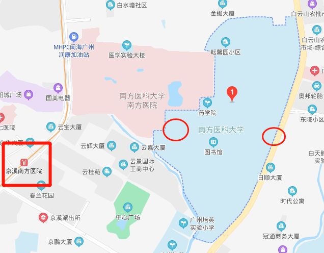 广东各市2020年前8个_广东富婆通讯录2020