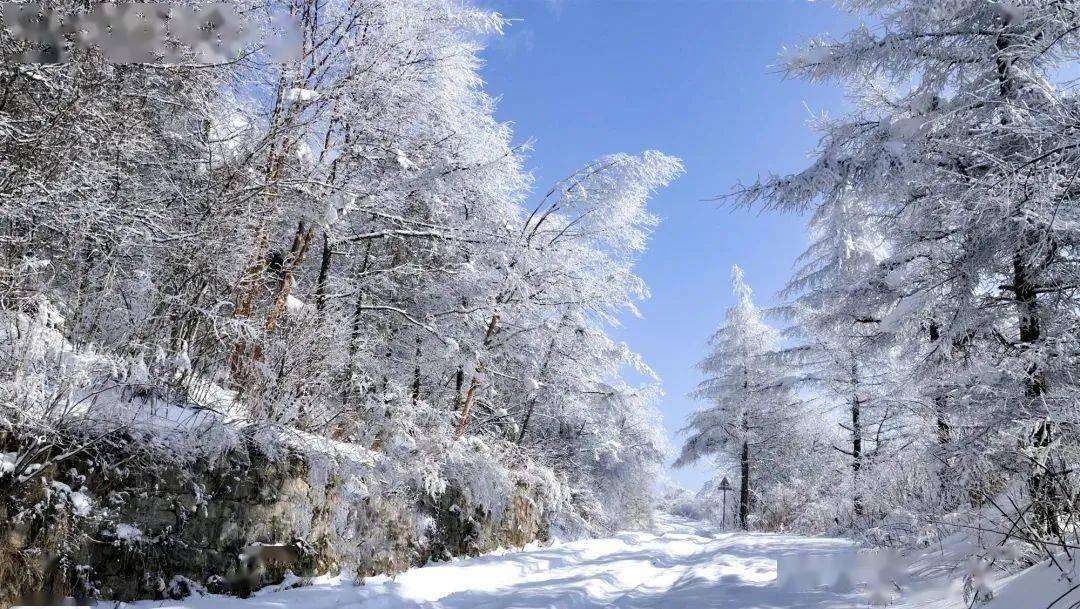 东北雪乡户外纯玩徒步梦幻雪山5s滑雪网红雪地摩托冲浪镜泊蓝冰冬捕雪