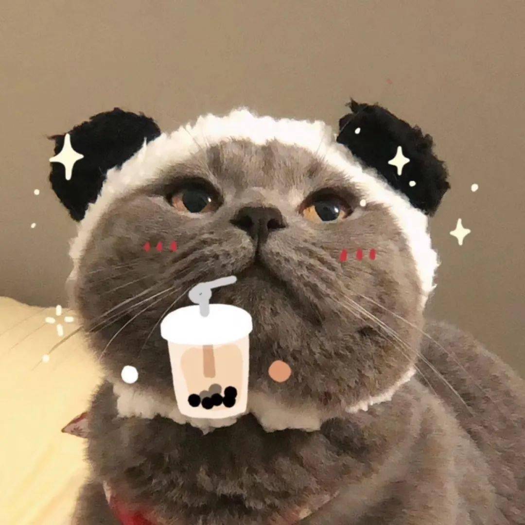 心心相印的情侣头像
