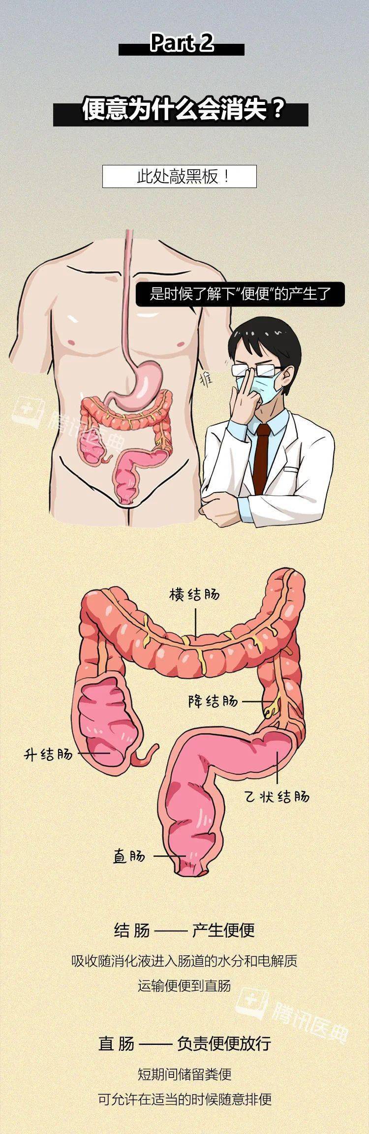 憋回去的屎,最后都去了哪里?