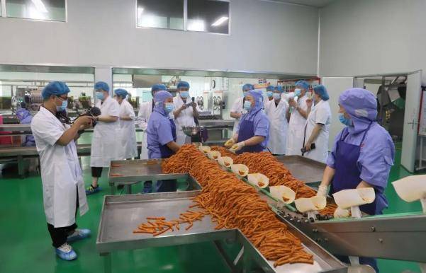 食品|被辣条改变命运的漯河