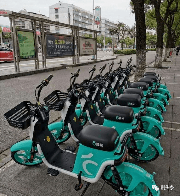 10月9日  青桔电单车,小遛电动车,靓骑电单车 三大品牌的共享助力车