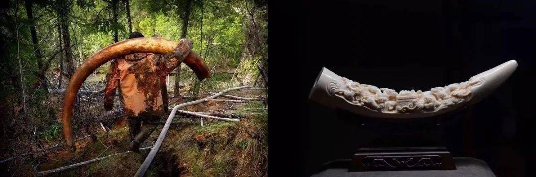 宝姐|这个秋天，你离时髦只就差这一步！速领取！