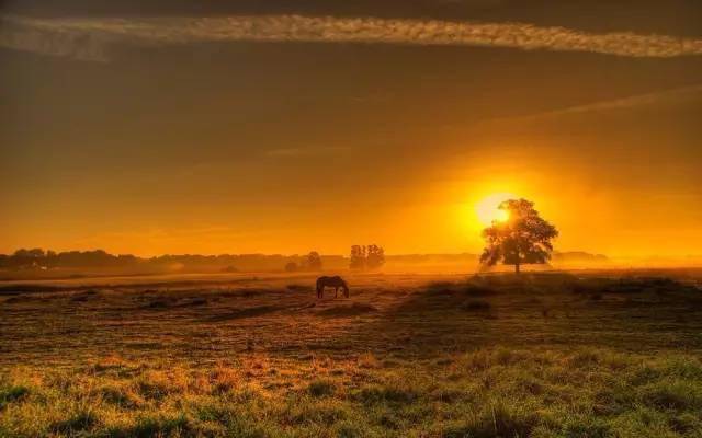 修养|成熟,是人一辈子的修养