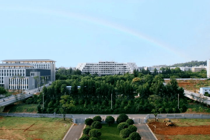 ‘十大外围足球平台app手机版’
秋天的第一份offer(图2)