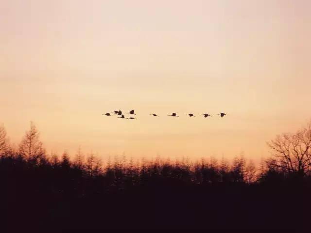 修养|成熟,是人一辈子的修养