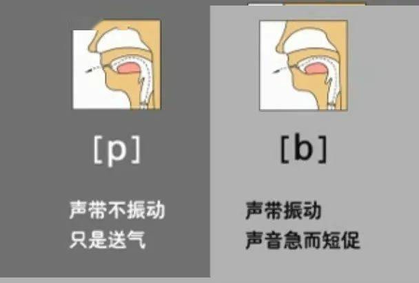 b和p的发音的一些练习