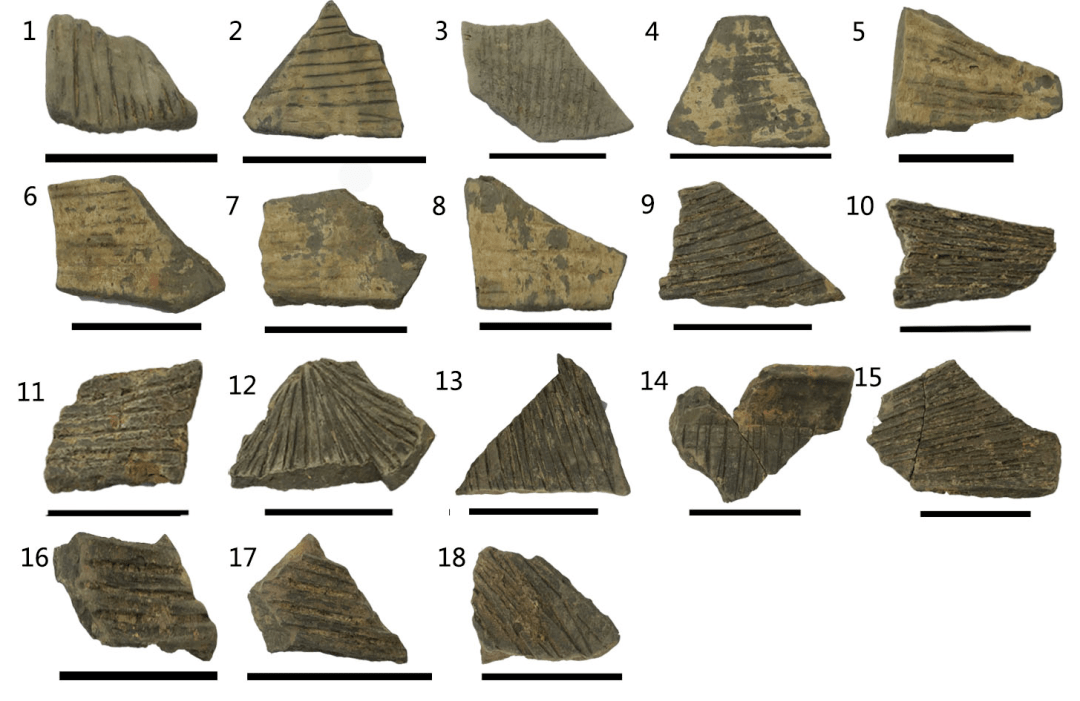 古人|与古人“对话”的考古学者:古人如何做奶酪、画红妆?