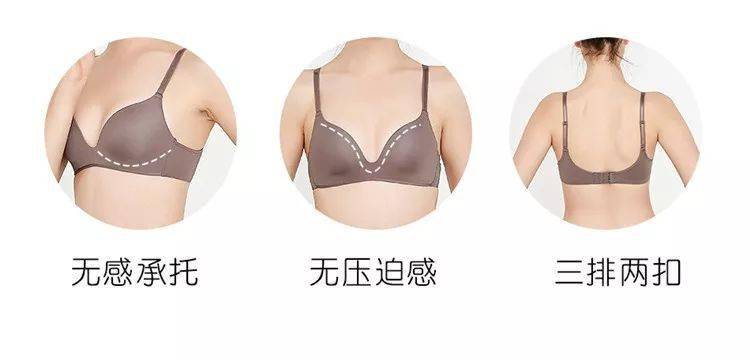 什么胸裸成语_成语故事图片(3)