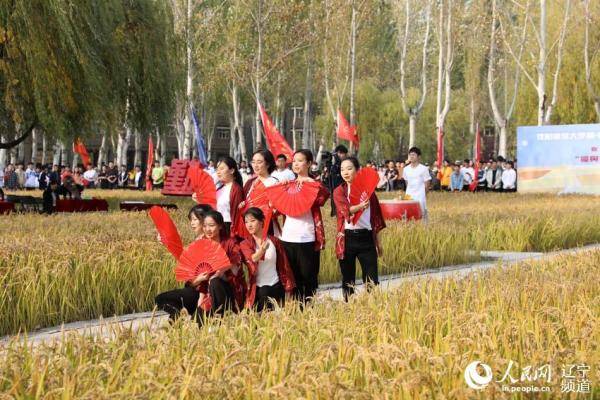 校园|沈阳建筑大学：校园里的丰收节