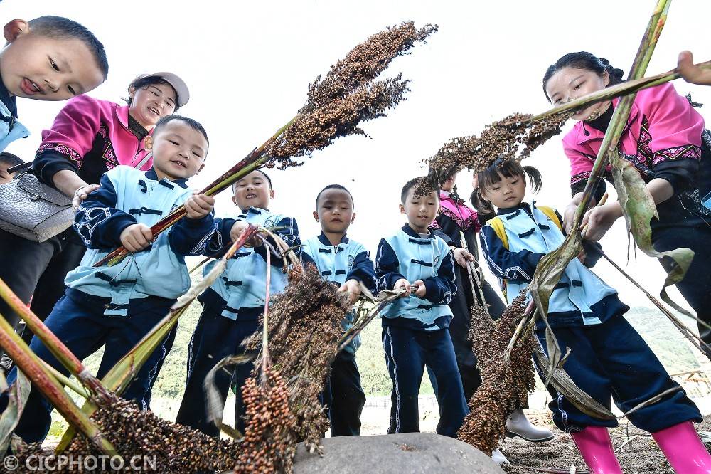 实验幼儿园|湖南张家界：劳动实践 助力成长