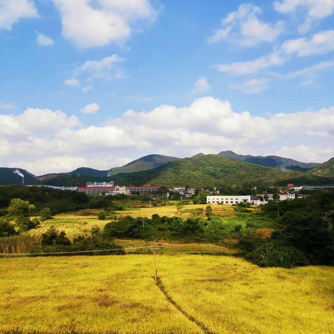 故乡的原风景mp3