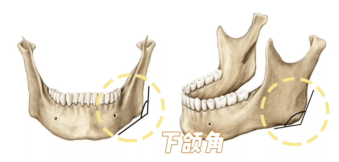 脸型|为什么有些人越长大越难看？