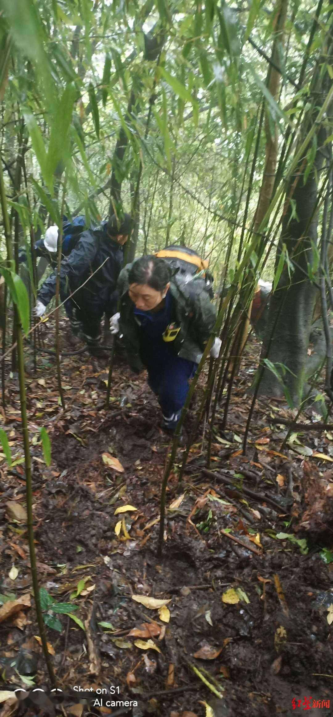 四川雅安七旬老人上山采笋失踪一个多月 搜救者