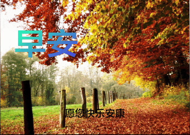 e6ac6cbb101147deb9a7408adef29862.gif