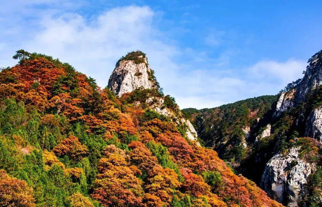 24岳西百车自驾活动】岳西明堂山,青云峡赏秋2日